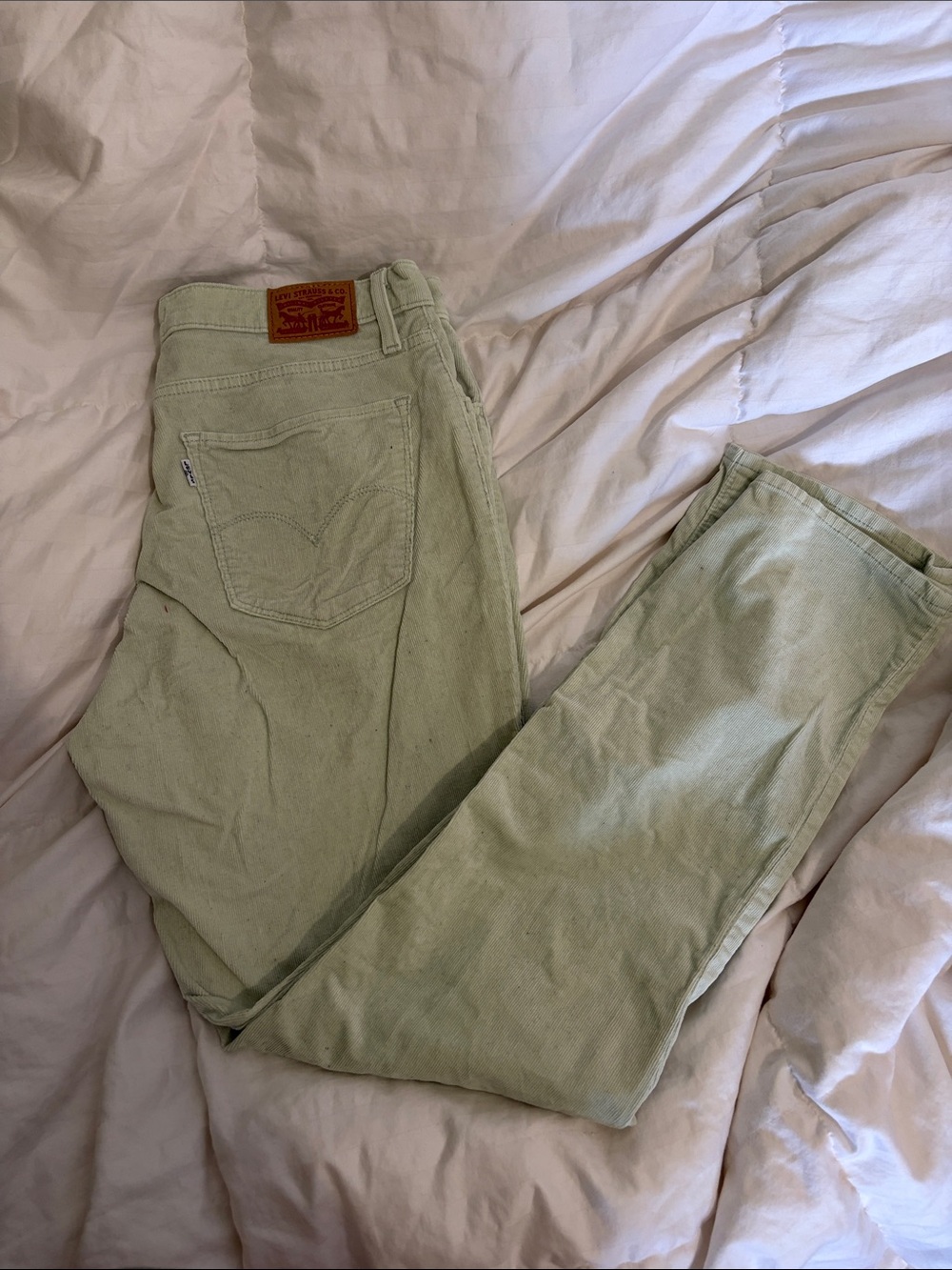Levi's Light Sage Women’s Jeans - Classic Fit